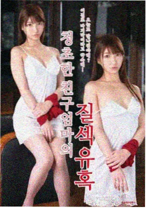 花蝴蝶电视剧 第二季 在线观看